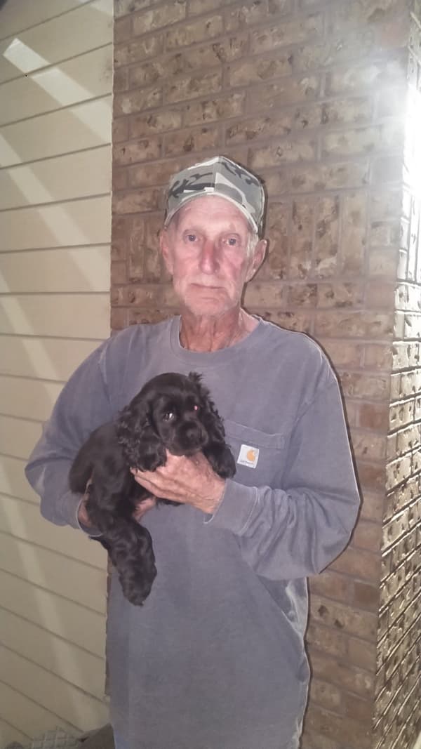 Customer photo of Cocker Spaniel puppy from Robert O.