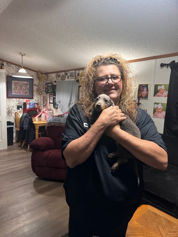 Customer photo of Dachshund, Mini puppy from Christina W.