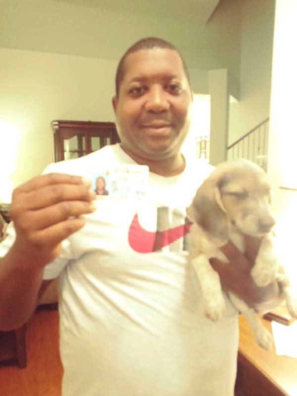 Customer photo of Beagle puppy from Corey M.