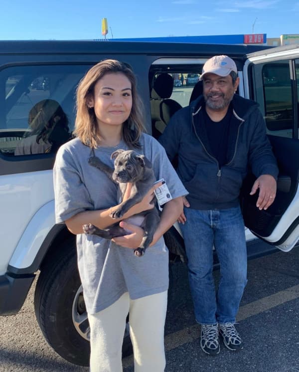 Customer photo of Frenchton puppy from Kristina O.