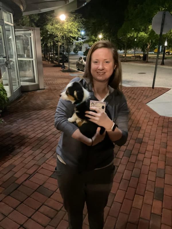Customer photo of Corgi, Pembroke Welsh puppy from Katharine C.