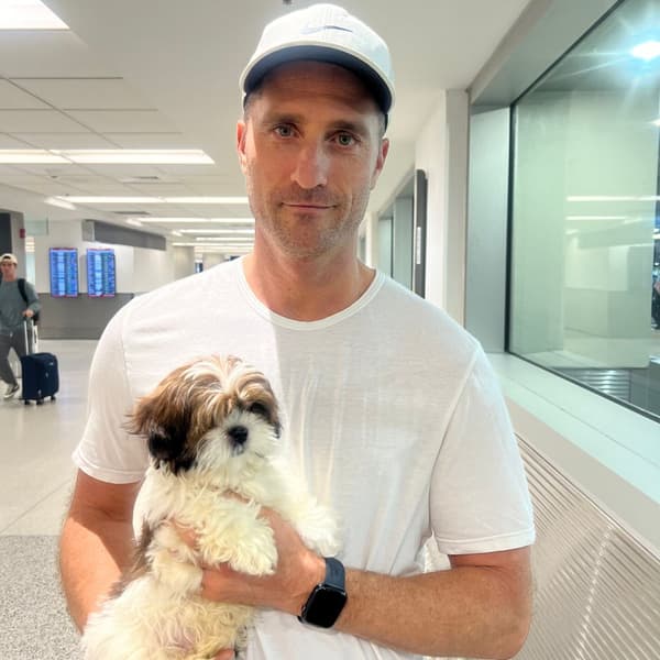 Customer photo of Shih Tzu puppy from Paul V.