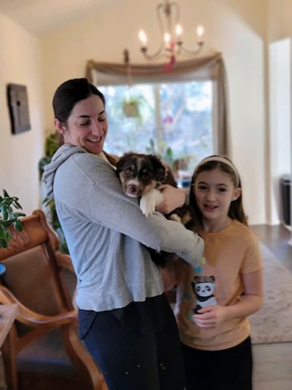 Customer photo of Australian Shepherd puppy from Kristi M.