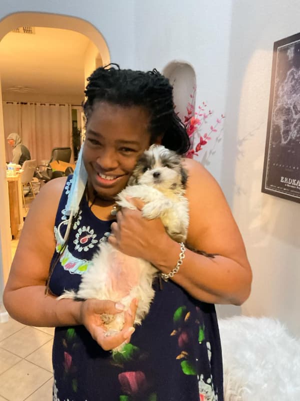 Customer photo of Mal-Shi - Malshi puppy from Darcy A.