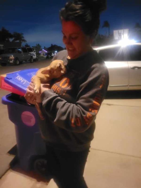 Customer photo of French Bulldog puppy from Randi C.