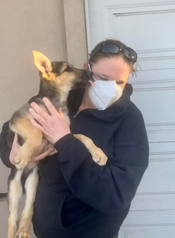 Customer photo of German Shepherd puppy from Christine S.