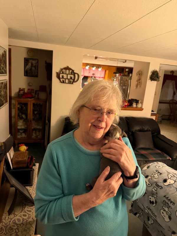 Customer photo of Boston Terrier puppy from Janet D.