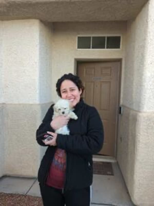 Customer photo of Malti Poo - Maltipoo puppy from Araceli G. 