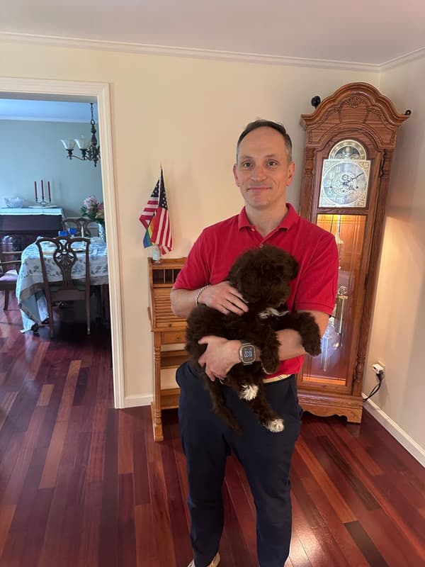Customer photo of Portuguese Water Dog puppy from Sebastien R.