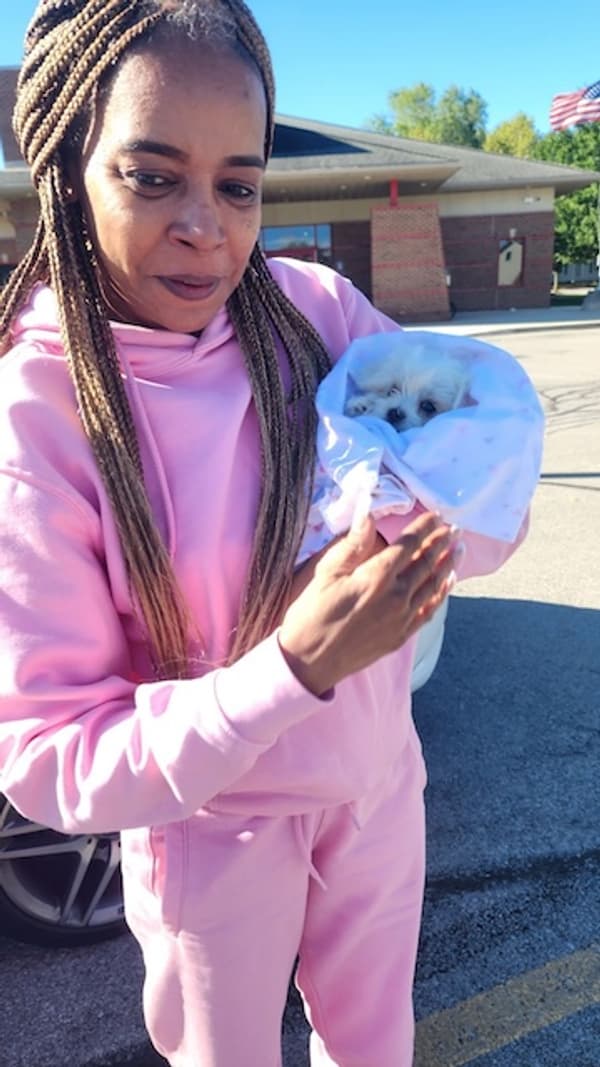 Customer photo of Maltese puppy from Carla W.