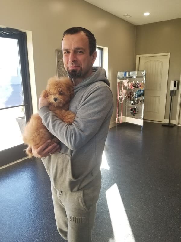 Customer photo of Poodle, Miniature puppy from Valeriy B.