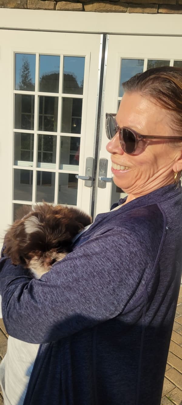 Customer photo of Shih-Poo - Shihpoo puppy from Elizabeth R. 