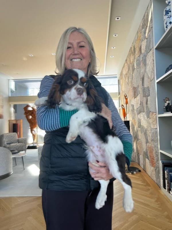 Customer photo of Cavalier King Charles Spaniel puppy from Ronald S.