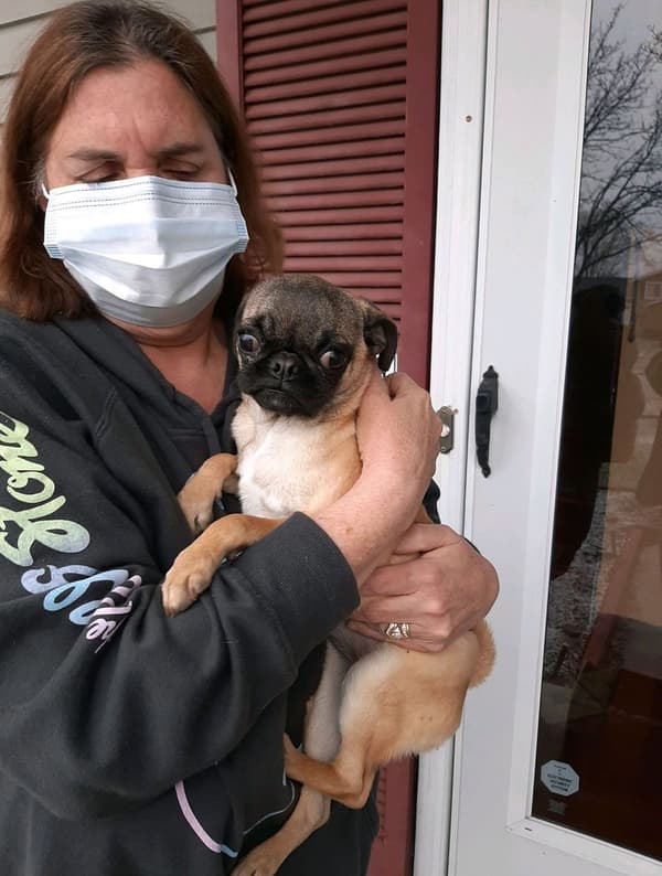 Customer photo of Pug puppy from Debbie C.