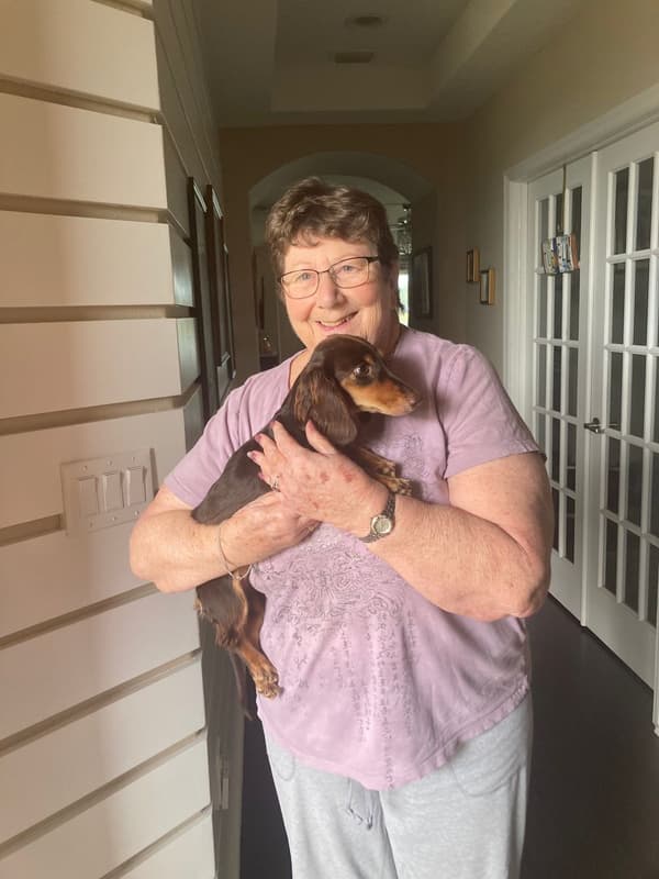 Customer photo of Dachshund, Mini puppy from Karen T.