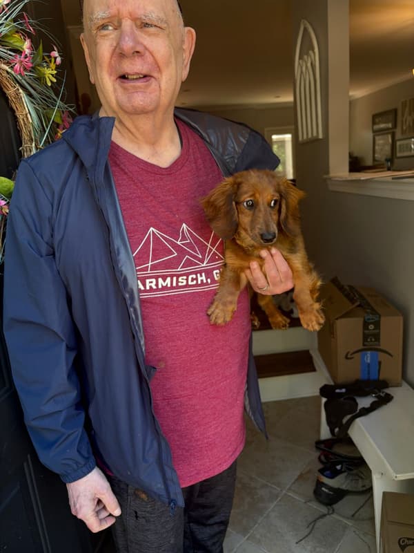 Customer photo of Dachshund, Mini puppy from David E.