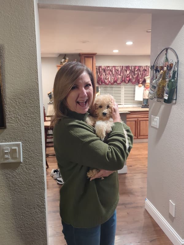 Customer photo of Poodle, Miniature puppy from Debbie M.