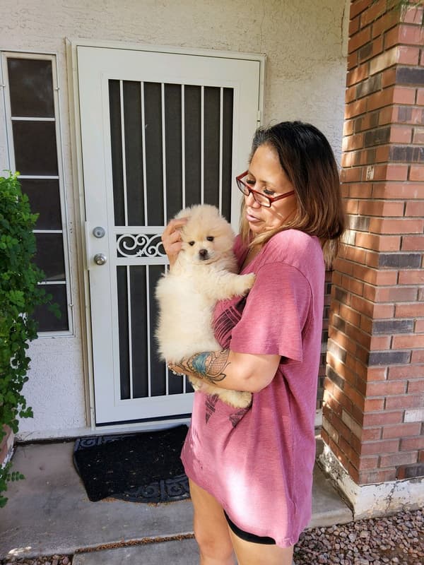 Customer photo of Mixed/Other puppy from Sandra D. 