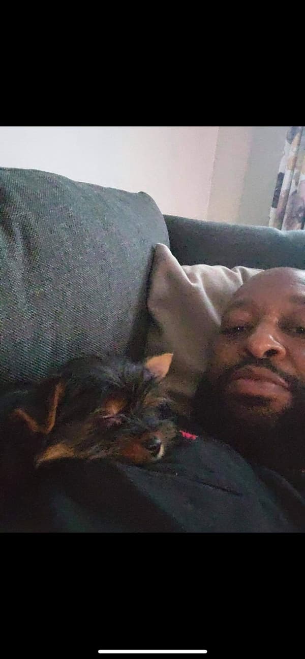 Customer photo of Yorkshire Terrier - Yorkie puppy from Robert W.