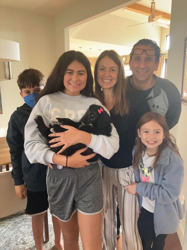 Customer photo of Bordoodle puppy from Denise C.