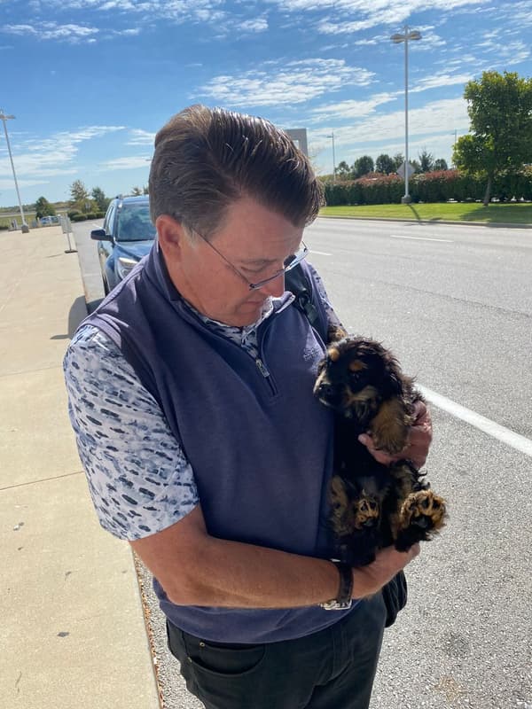 Customer photo of Cocker Spaniel puppy from Susan O.