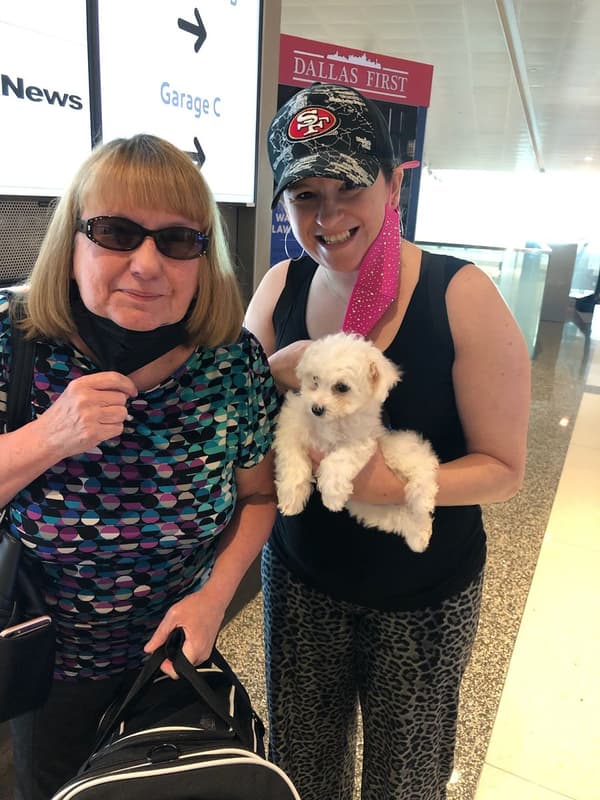 Customer photo of Bichon Frise puppy from Victoria L.