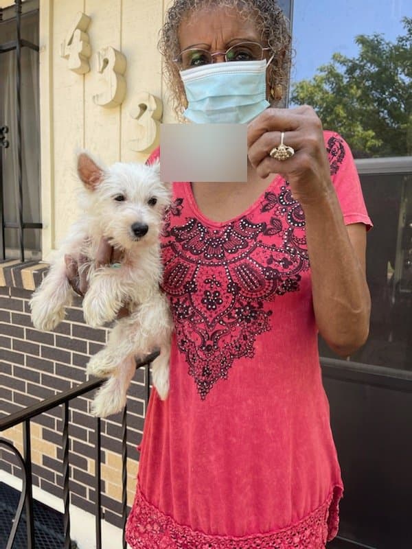 Customer photo of West Highland White Terrier - Westie puppy from Rhonda M.