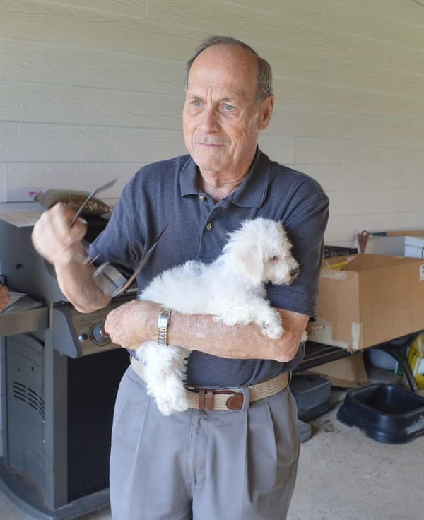 Customer photo of Bichon Frise puppy from Meredith H. 