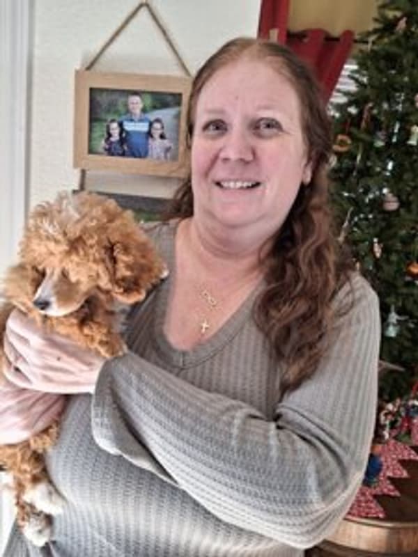 Customer photo of Poodle, Toy puppy from Kristen S.