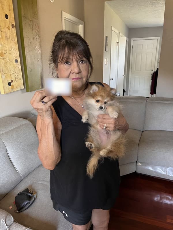 Customer photo of Pomeranian puppy from James V.