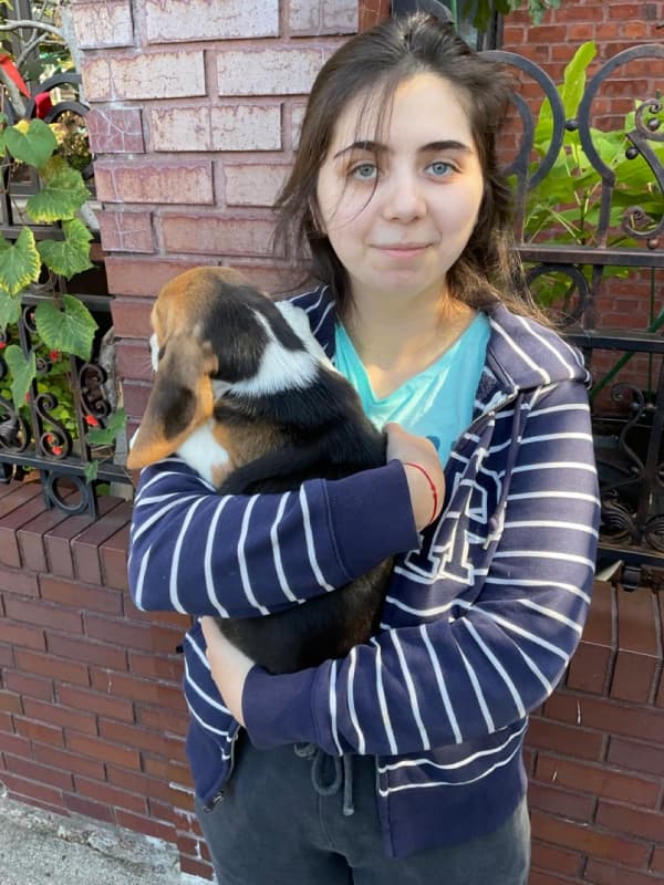 Customer photo of Beagle puppy from Irma A.