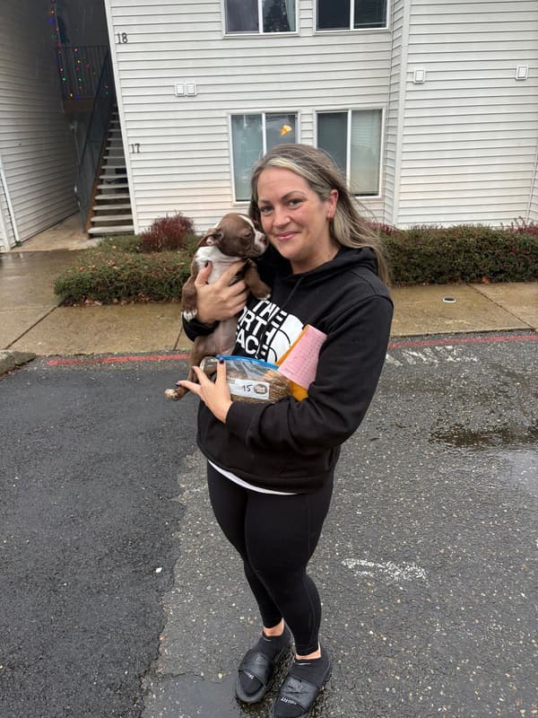 Customer photo of Boston Terrier puppy from Caitlyn W.