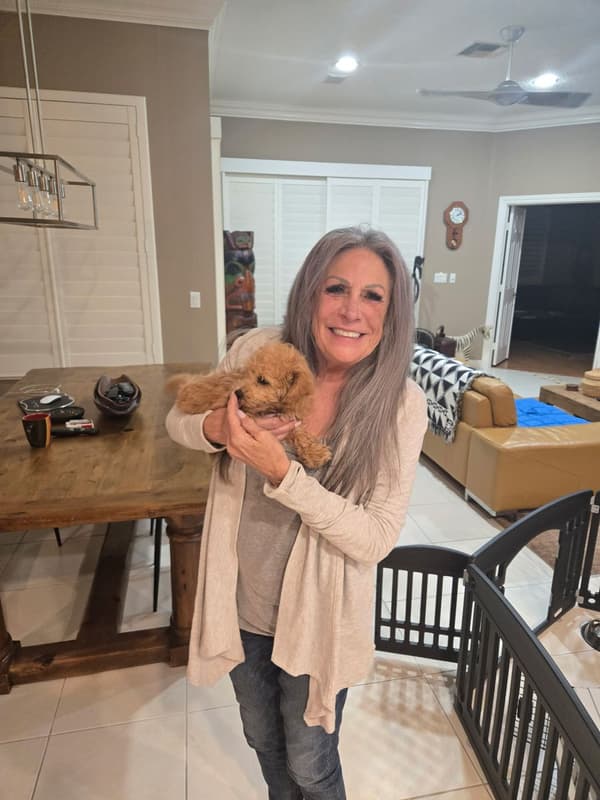 Customer photo of Bich-Poo - Bichpoo puppy from Ann G.
