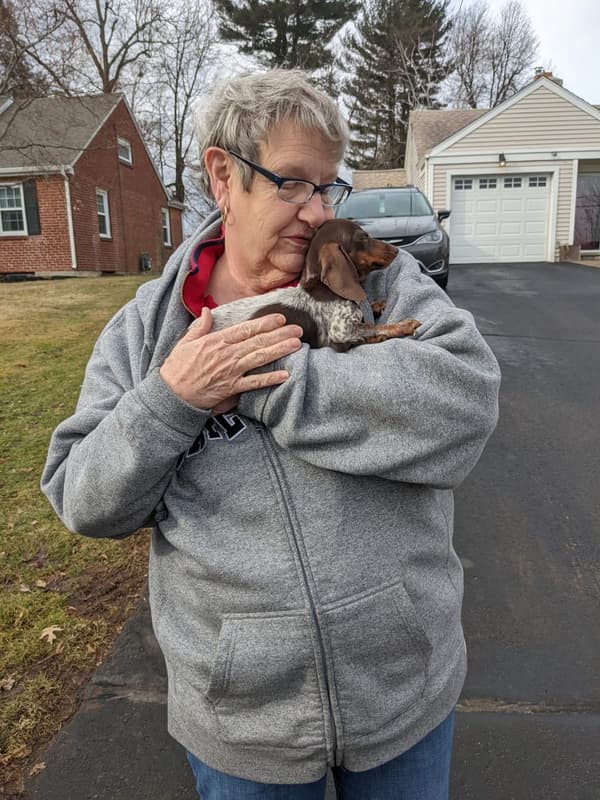 Customer photo of Dachshund, Mini puppy from Florence T.