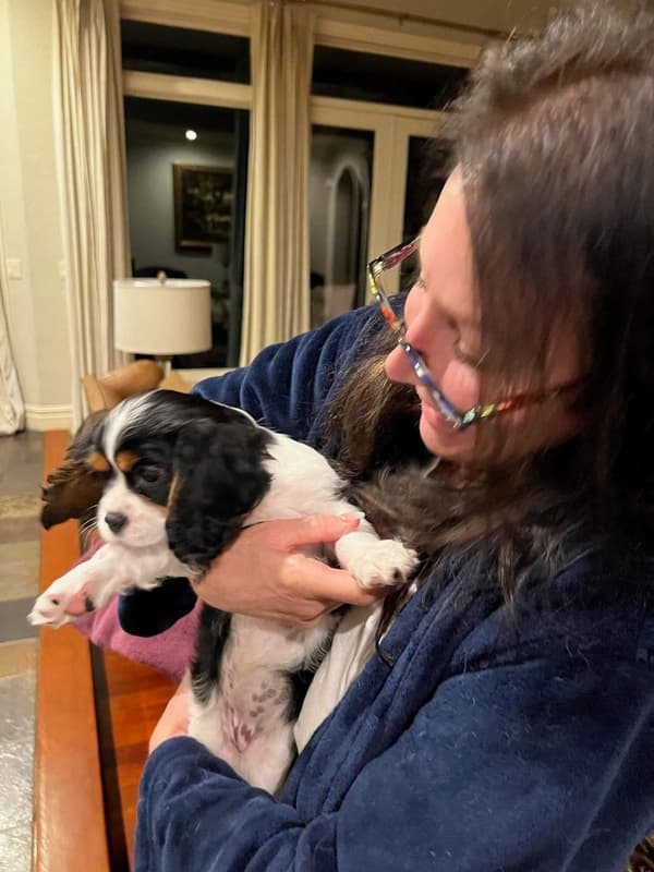 Customer photo of Cavalier King Charles Spaniel puppy from Diana B.