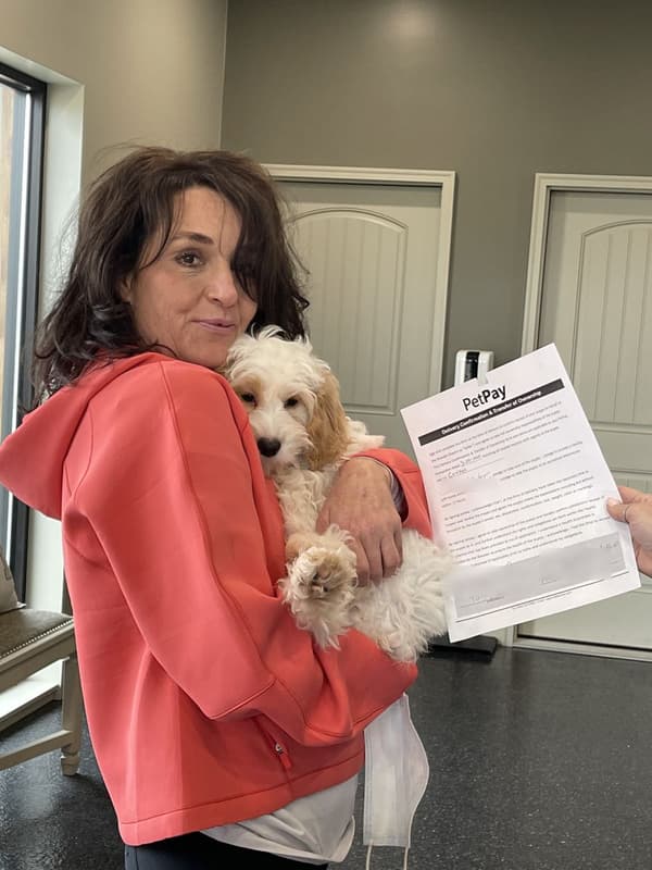 Customer photo of Cockapoo puppy from Patty W.