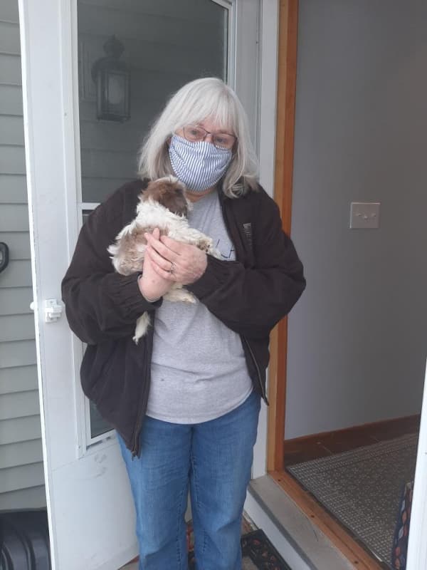 Customer photo of Cockachon puppy from Cynthia D.