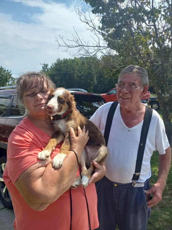 Customer photo of Australian Shepherd puppy from Beverly G.