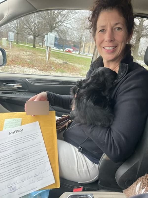 Customer photo of Cocker Spaniel puppy from Lisa M.