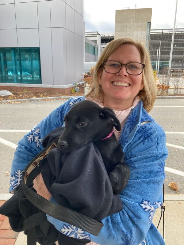 Customer photo of Labrador Retriever puppy from Maura F.