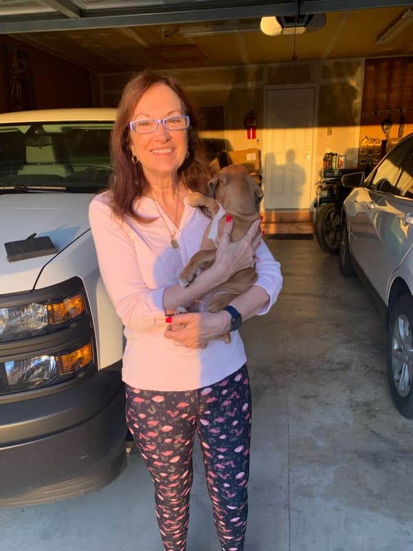 Customer photo of Boxer puppy from Karen S.