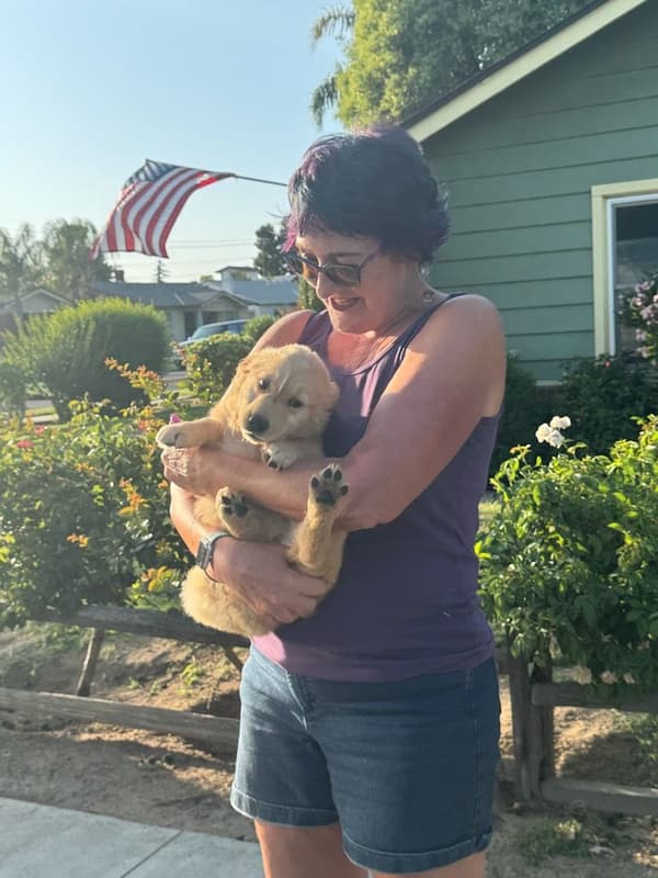 Customer photo of Golden Retriever puppy from Karen A.