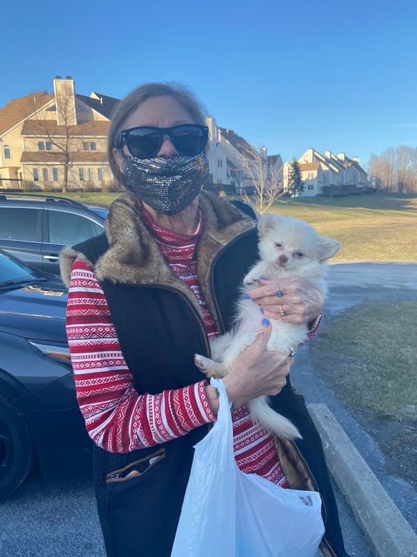 Customer photo of Pomeranian puppy from Karen E.