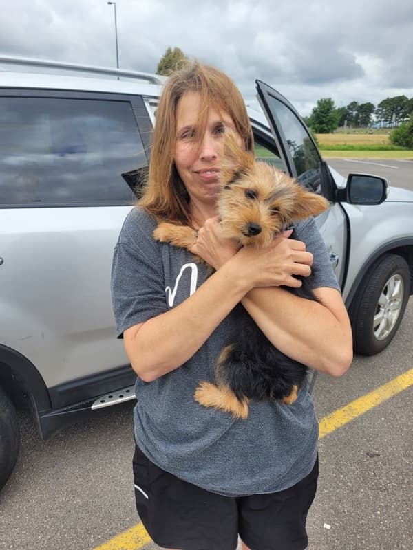 Customer photo of Yorkshire Terrier - Yorkie puppy from Connie L.