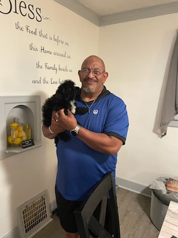Customer photo of Poodle, Toy puppy from Darius T.