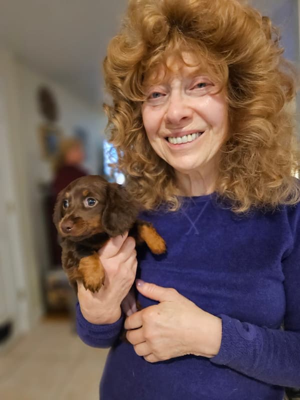 Customer photo of Dachshund, Mini puppy from Joan M.