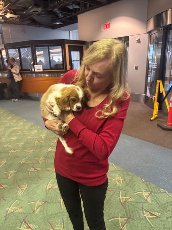 Customer photo of Cavalier King Charles Spaniel puppy from Wilma D.