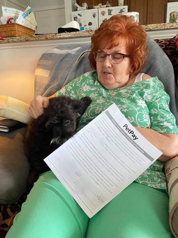 Customer photo of Schnauzer, Miniature puppy from Meta C.