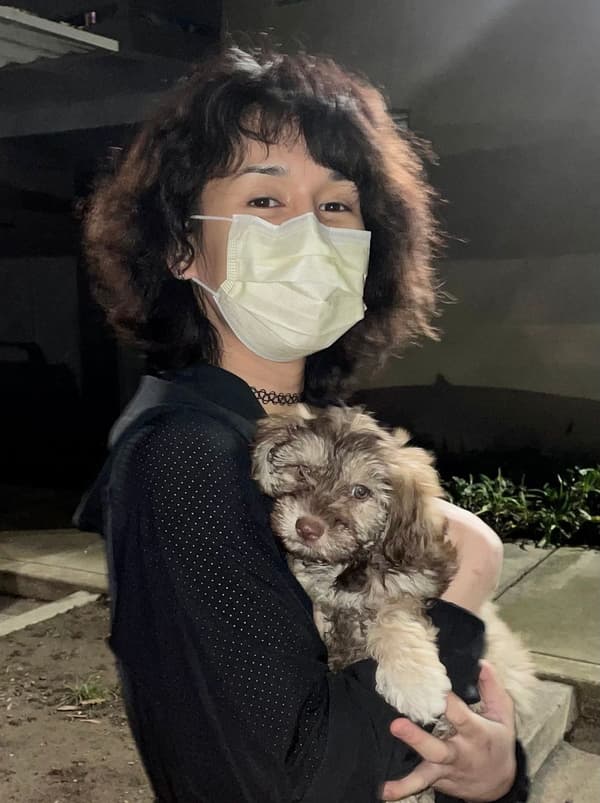 Customer photo of Havanese puppy from Rin S.