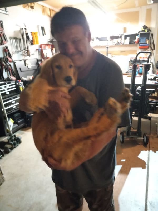 Customer photo of Golden Retriever puppy from Michelle W.